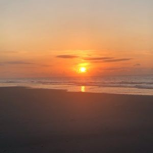 Meet your Posher, Jeffrey